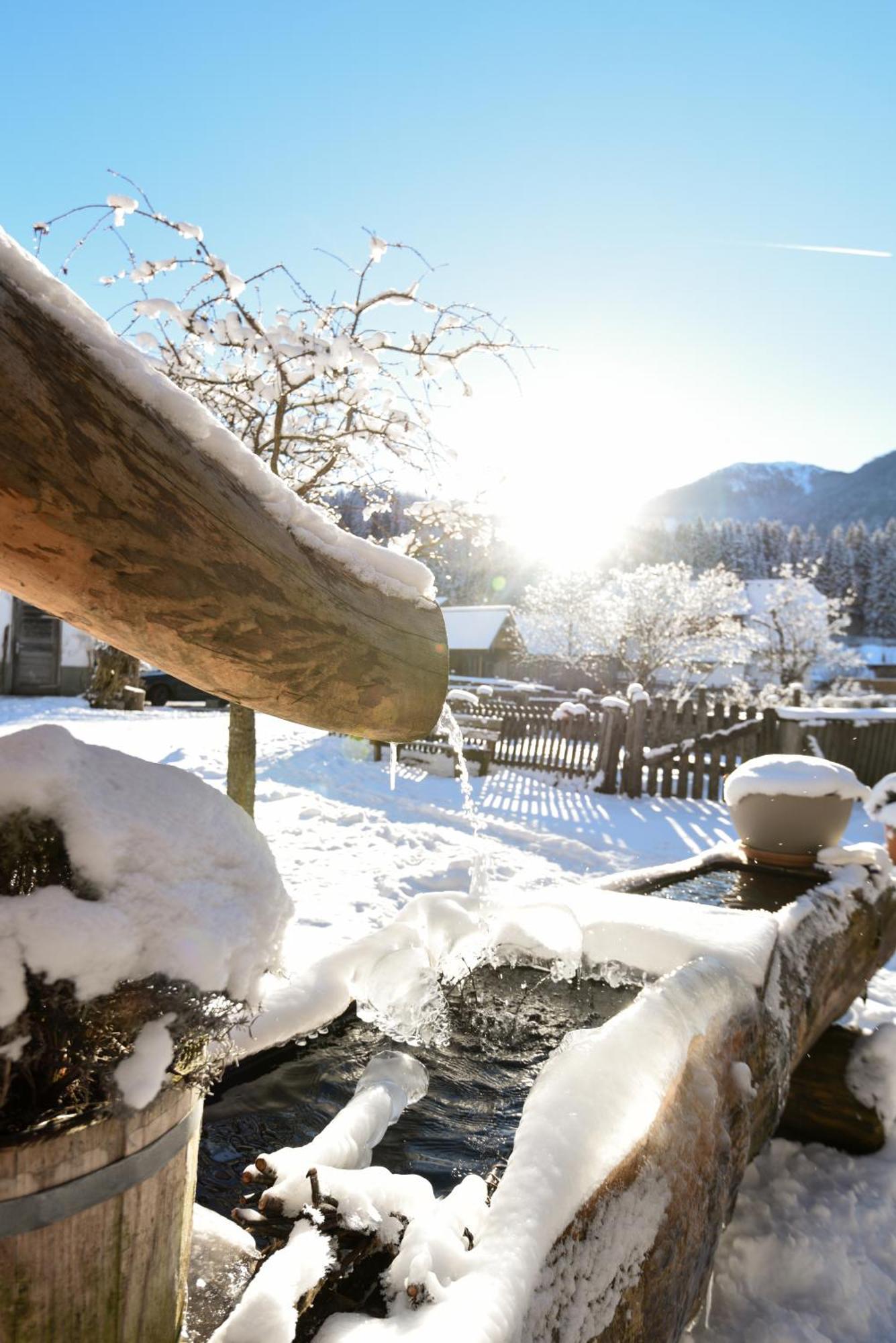 Villa Auerhof Schladming Exterior foto