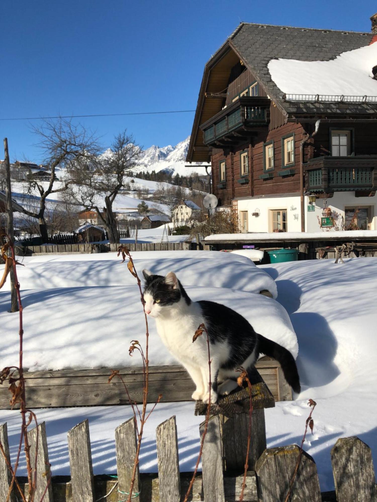 Villa Auerhof Schladming Exterior foto
