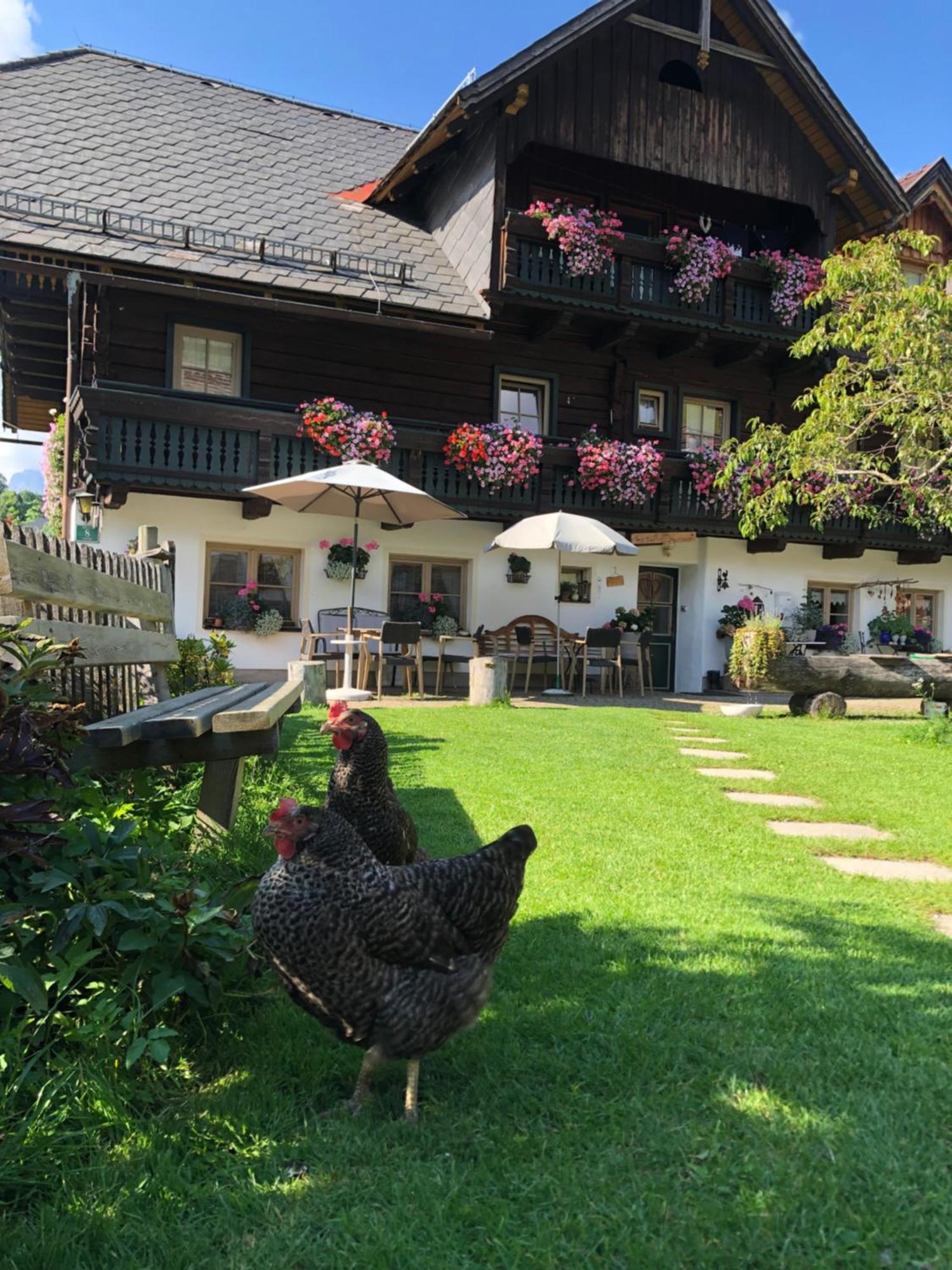 Villa Auerhof Schladming Exterior foto